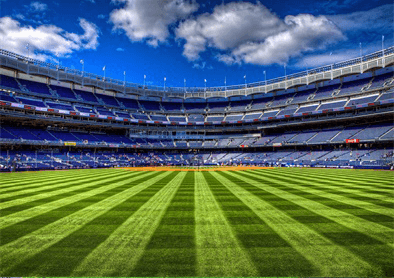 Artificial Grass